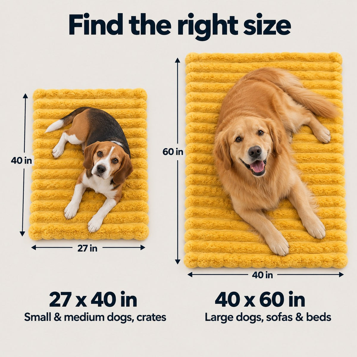 Two sizes, one for every dog